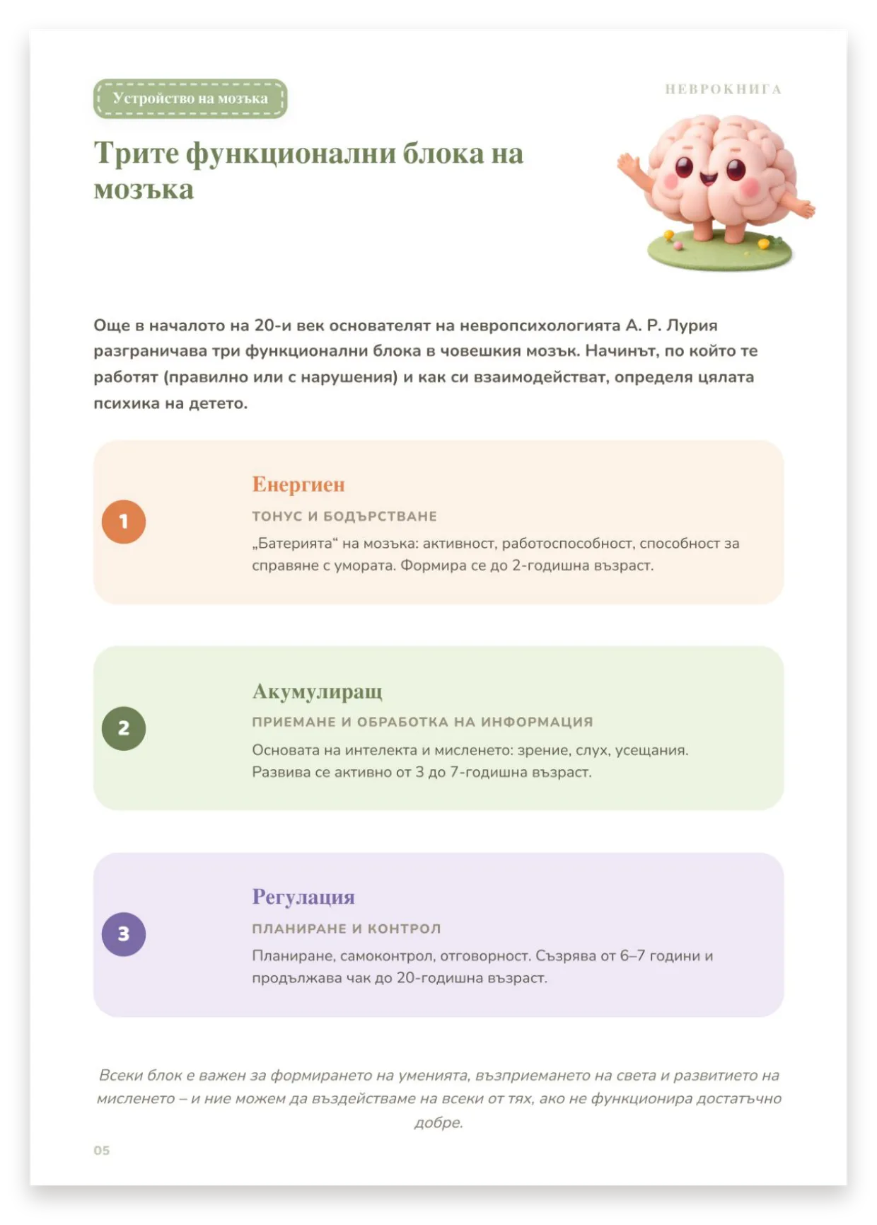 Трите функционални блока на мозъка